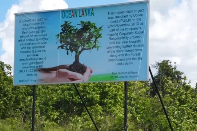 Foto: Infotafel zum Wiederaufforstungsprogramm