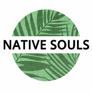 Logo neu ohne